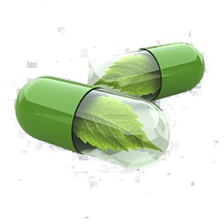 Santé et bien-être