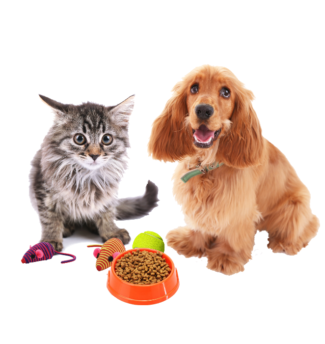 Animalerie et Equipements