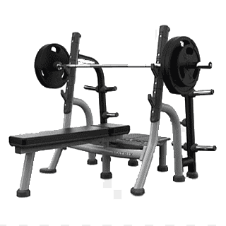 Sports et remise en forme